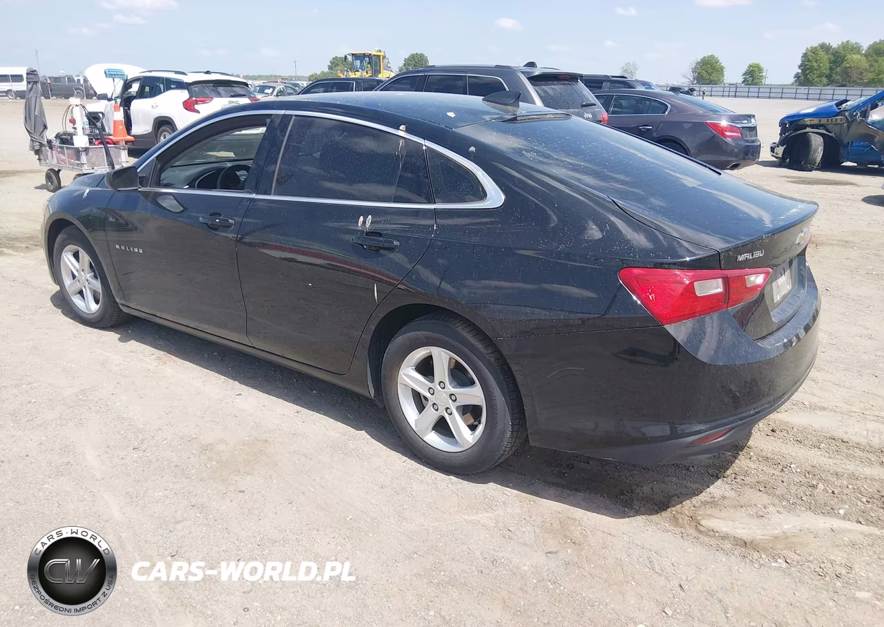 2023 Chevrolet Malibu Fwd Ls VIN:1G1ZB5ST2PF115186 - 3