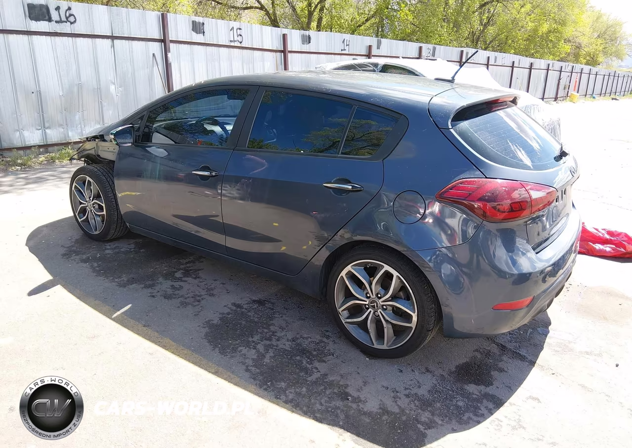 2016 Kia Forte Sx VIN:KNAFZ5A35G5619211 - 3