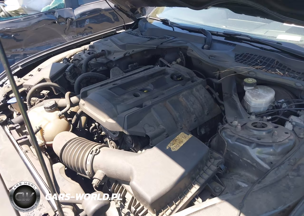 2020 Ford Mustang Ecoboost Premium VIN:1FATP8UH1L5113377 - 10