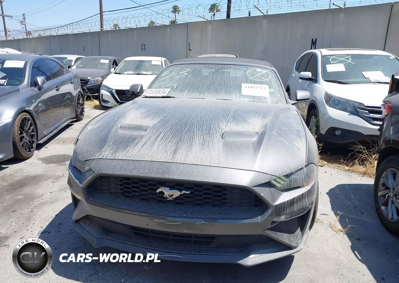 2020 Ford Mustang Ecoboost Premium VIN:1FATP8UH1L5113377 - 12
