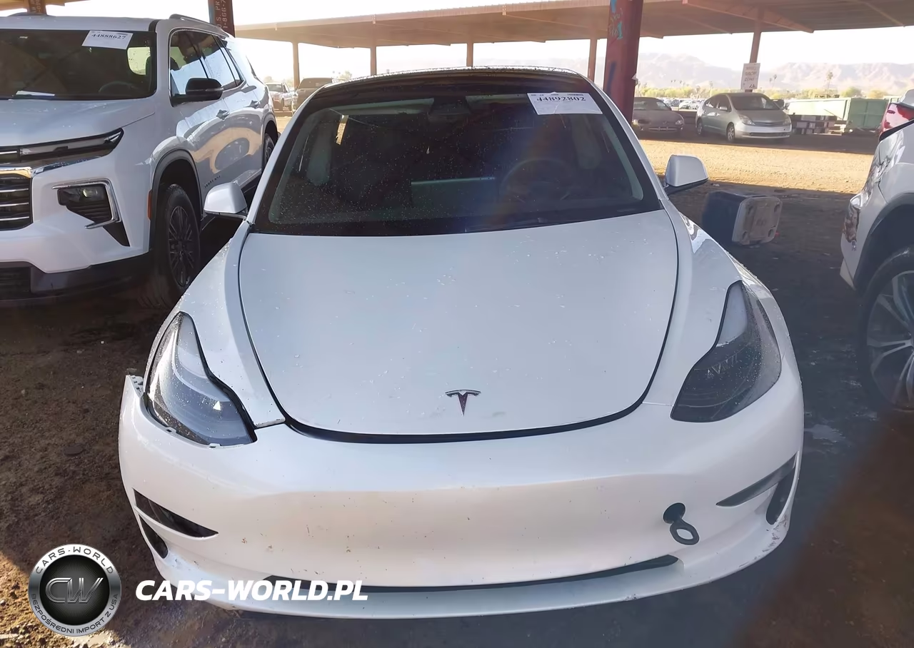 2023 Tesla Model 3 Rear-Wheel Drive VIN:5YJ3E1EA1PF550874 - 12