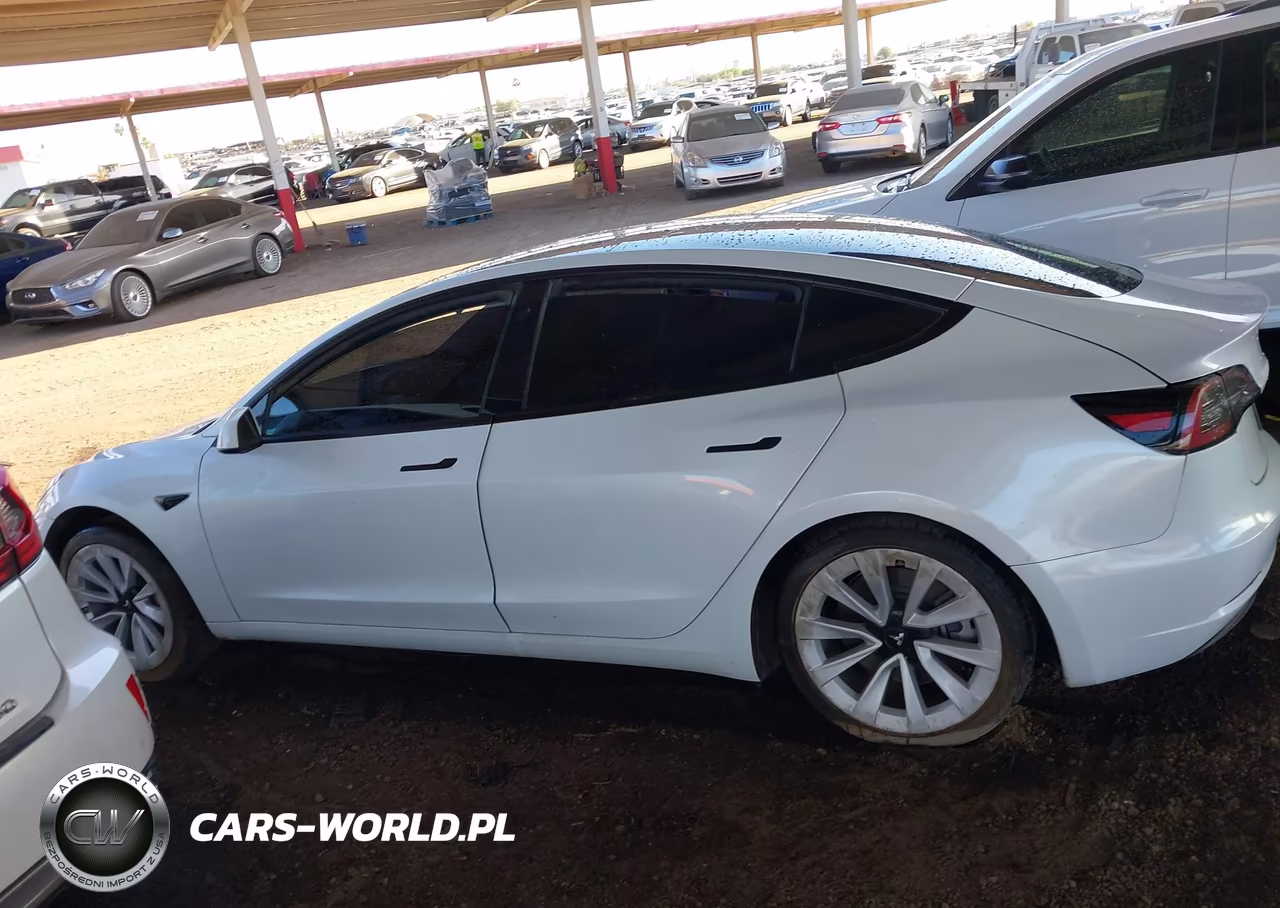 2023 Tesla Model 3 Rear-Wheel Drive VIN:5YJ3E1EA1PF550874 - 14