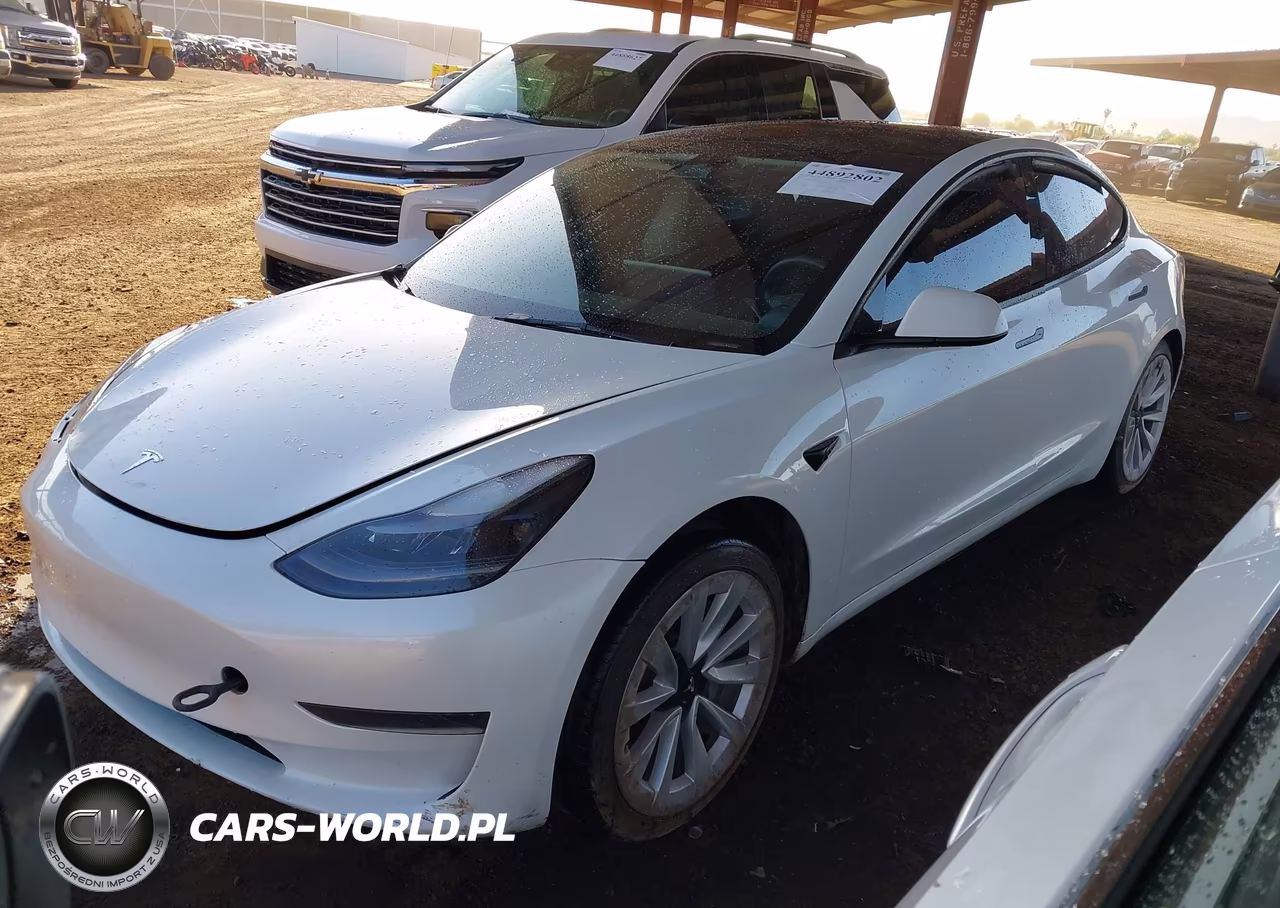2023 Tesla Model 3 Rear-Wheel Drive VIN:5YJ3E1EA1PF550874 - 2