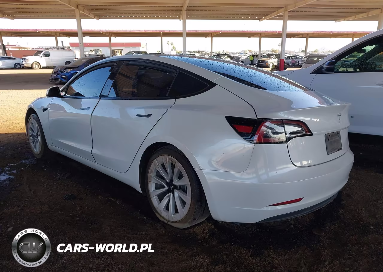 2023 Tesla Model 3 Rear-Wheel Drive VIN:5YJ3E1EA1PF550874 - 3