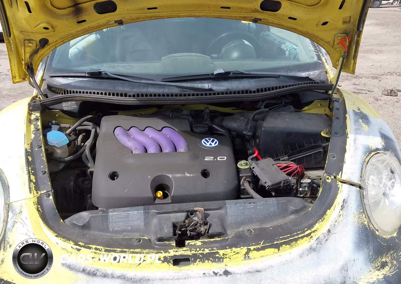 1998 Volkswagen New Beetle VIN:3VWBB61C8WM045172 - 10
