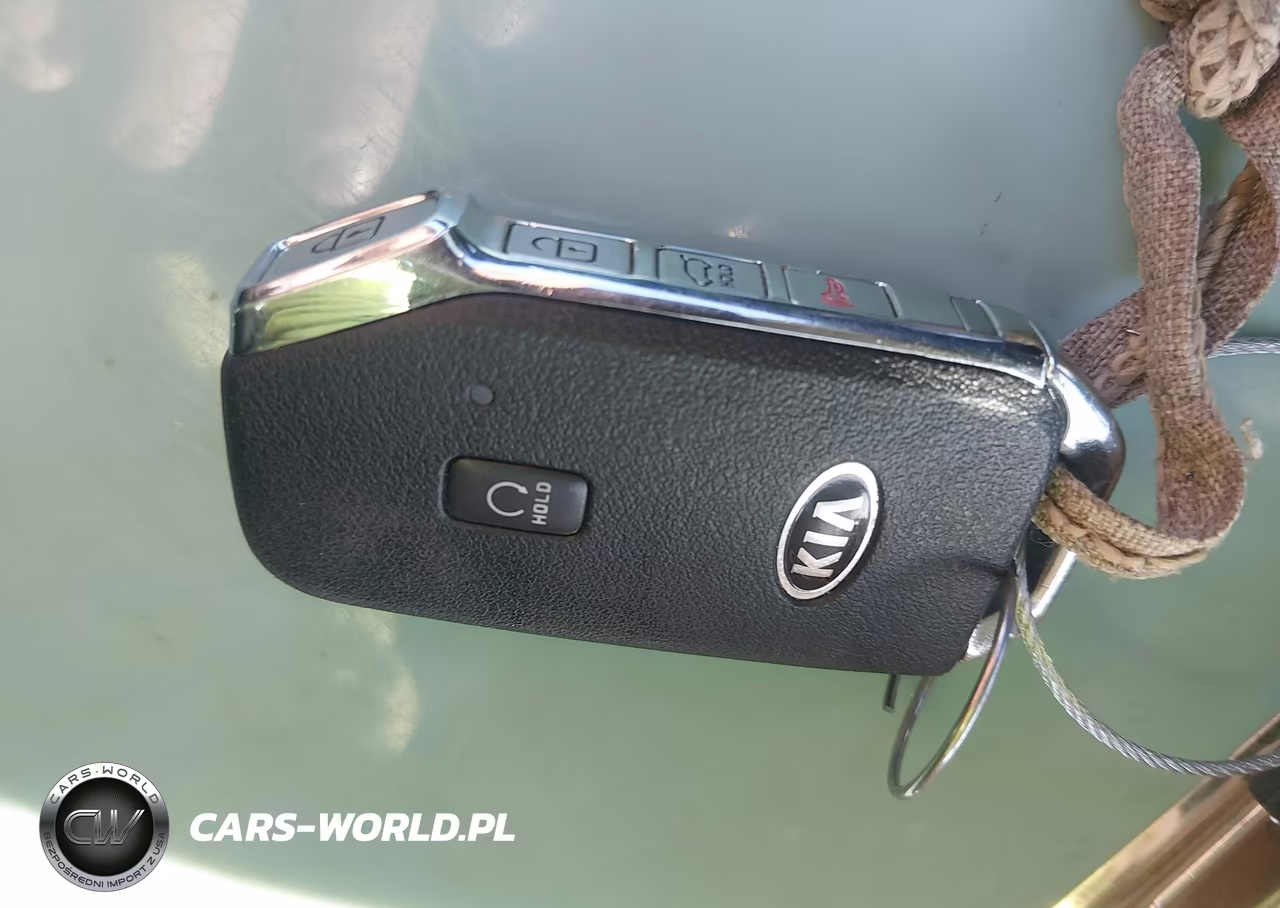 2021 Kia Telluride Ex VIN:5XYP3DHC2MG129076 - 11