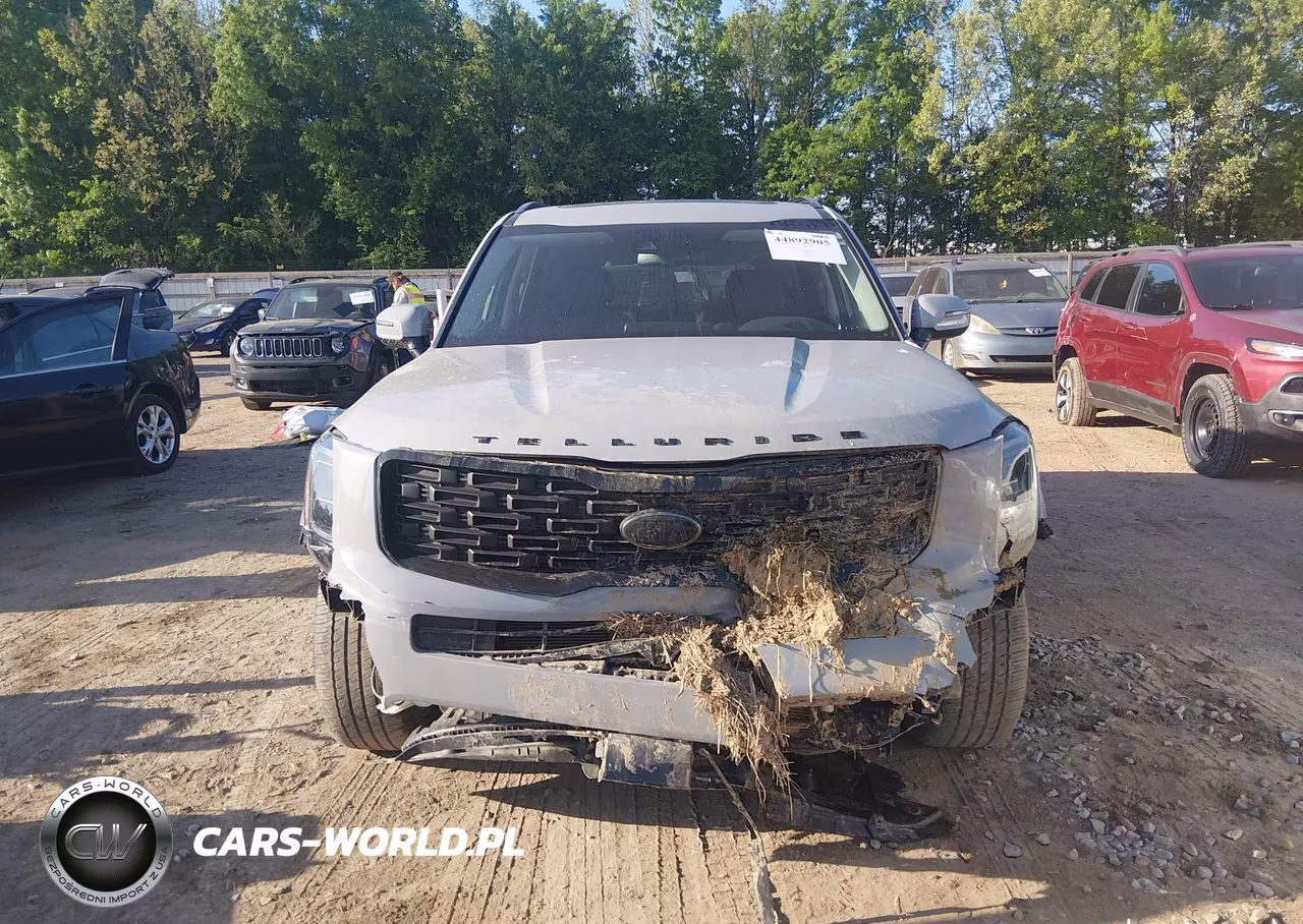 2021 Kia Telluride Ex VIN:5XYP3DHC2MG129076 - 12