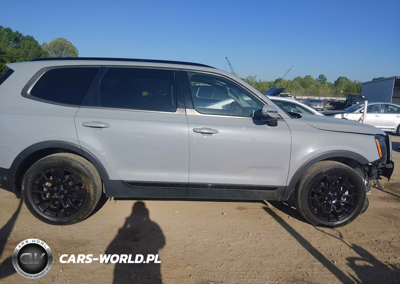 2021 Kia Telluride Ex VIN:5XYP3DHC2MG129076 - 13