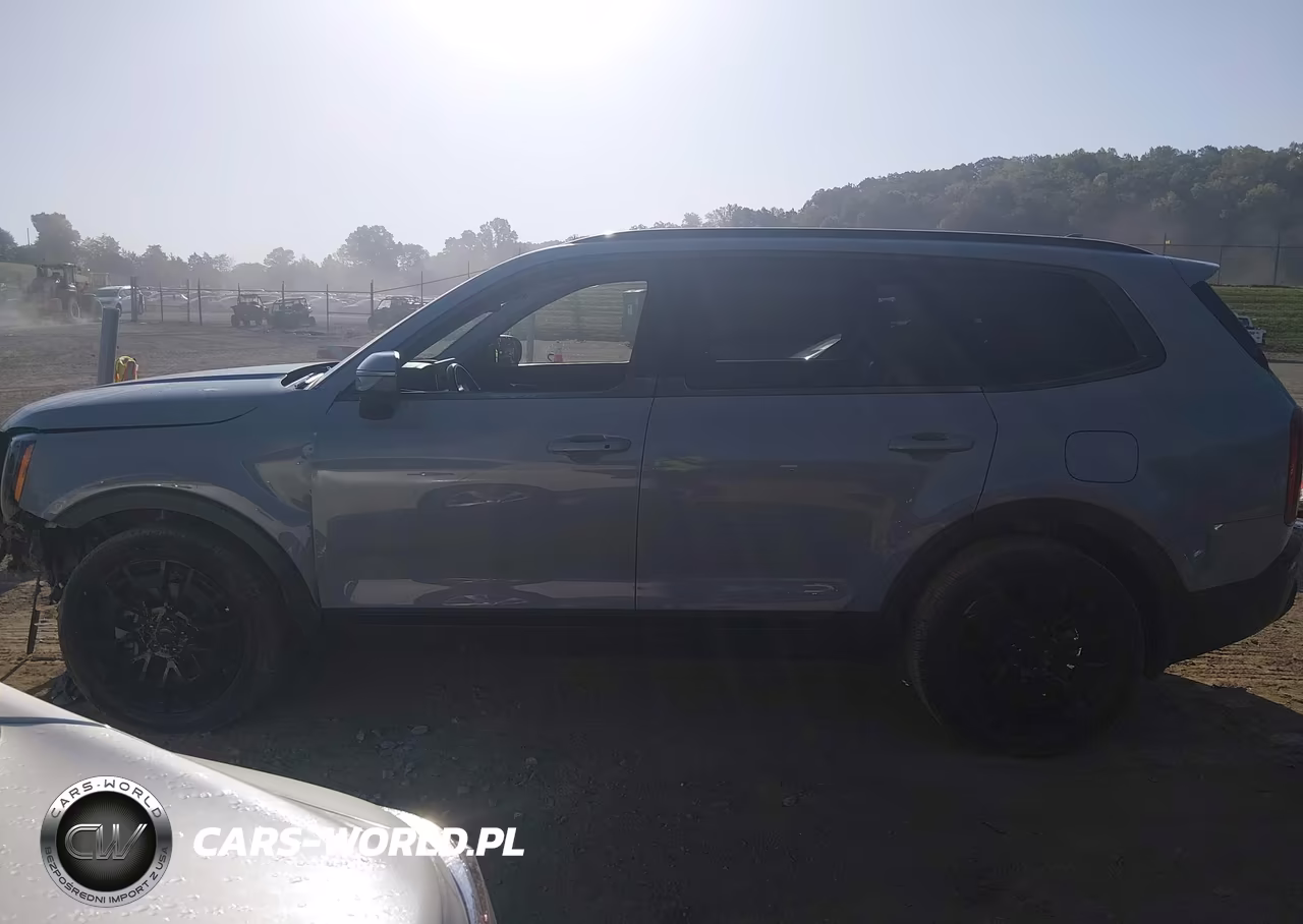 2021 Kia Telluride Ex VIN:5XYP3DHC2MG129076 - 14