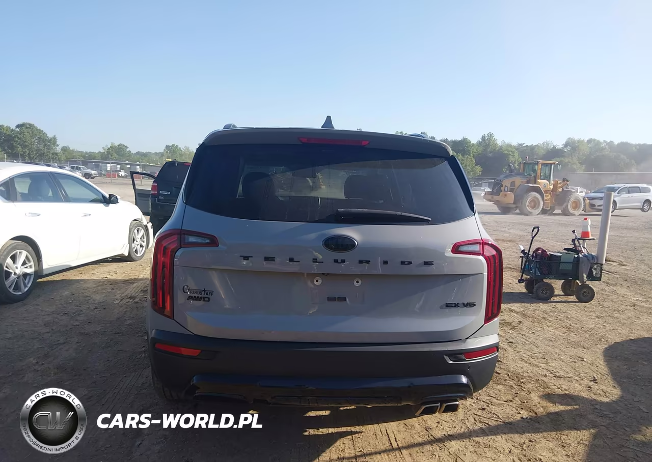 2021 Kia Telluride Ex VIN:5XYP3DHC2MG129076 - 16