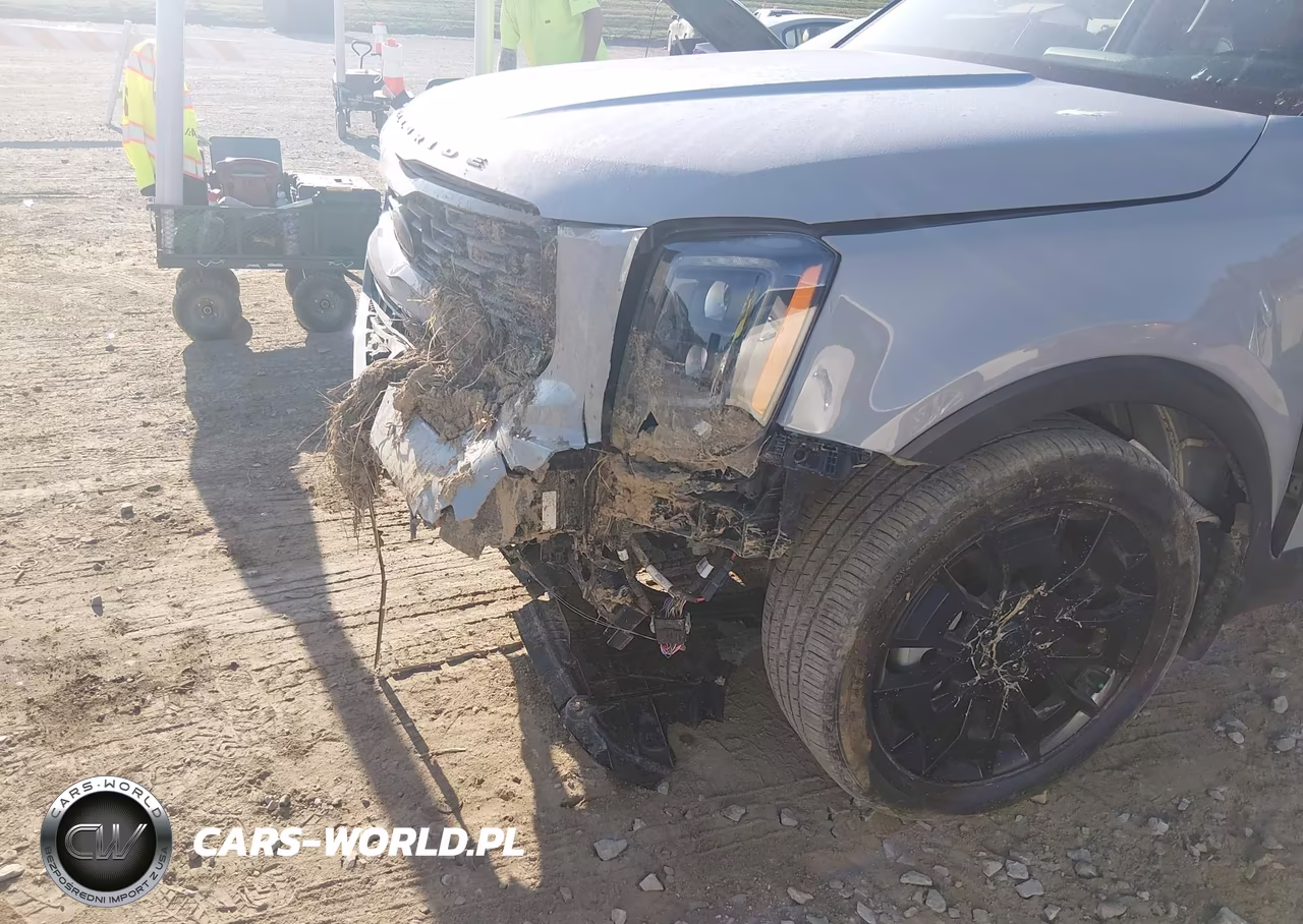 2021 Kia Telluride Ex VIN:5XYP3DHC2MG129076 - 17