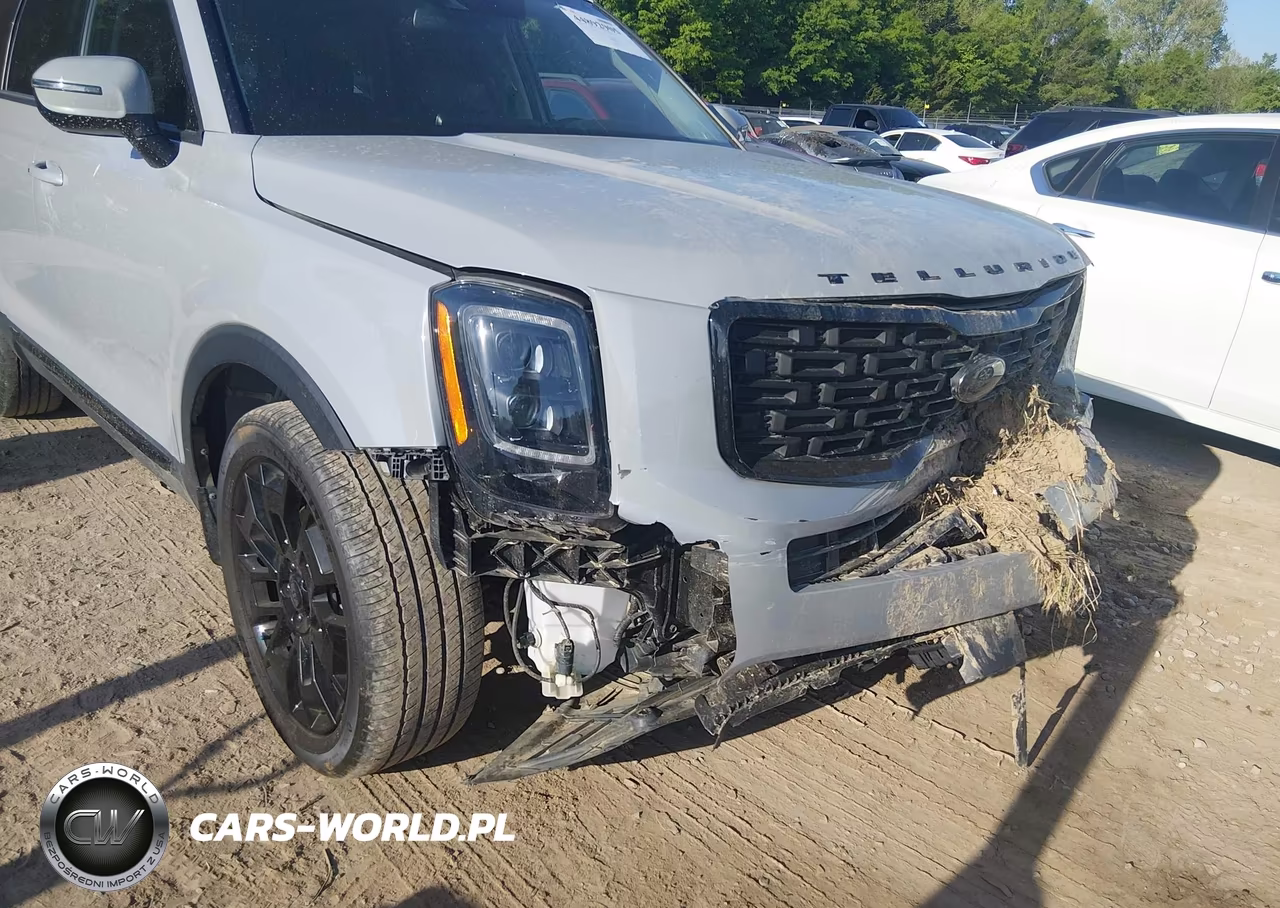 2021 Kia Telluride Ex VIN:5XYP3DHC2MG129076 - 18