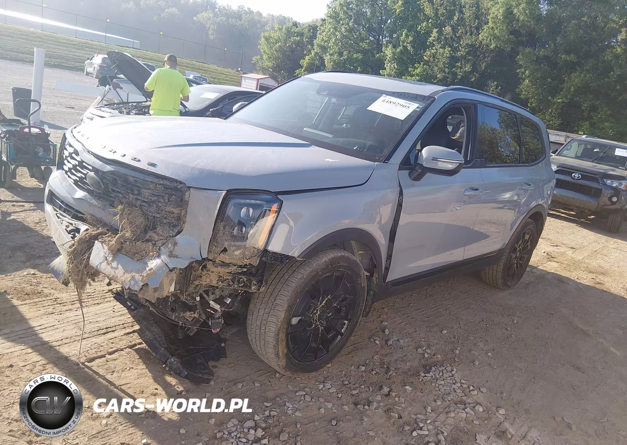 2021 Kia Telluride Ex VIN:5XYP3DHC2MG129076 - 2