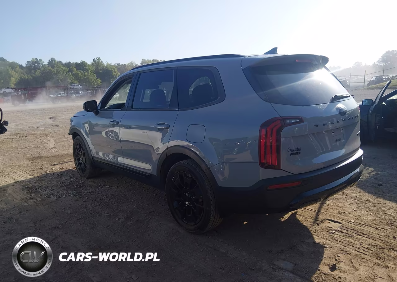 2021 Kia Telluride Ex VIN:5XYP3DHC2MG129076 - 3