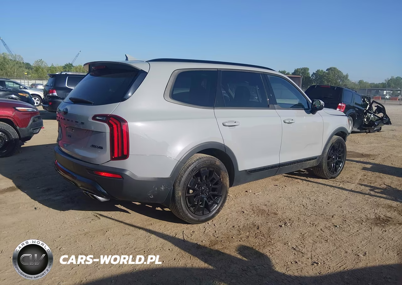 2021 Kia Telluride Ex VIN:5XYP3DHC2MG129076 - 4