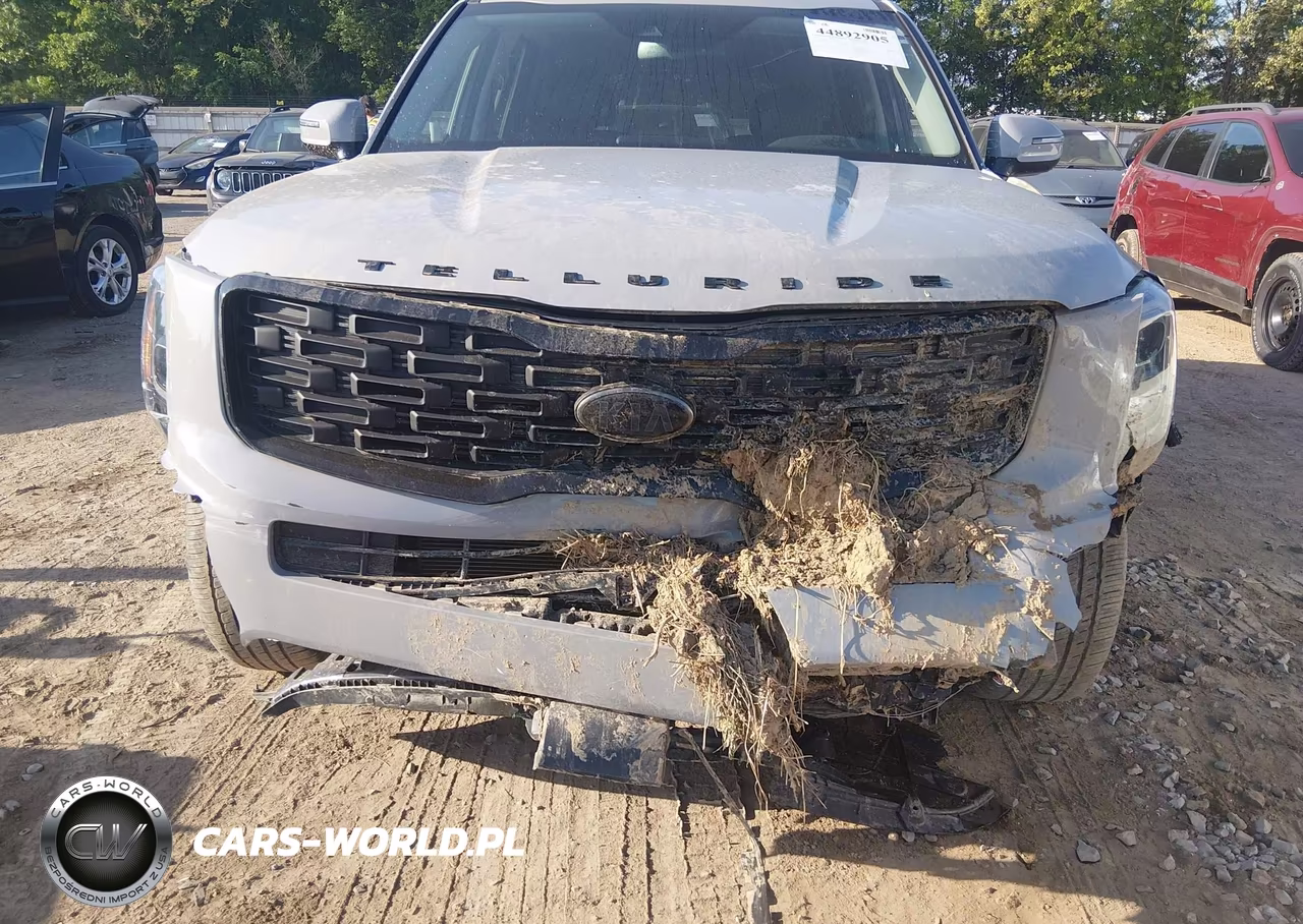 2021 Kia Telluride Ex VIN:5XYP3DHC2MG129076 - 6