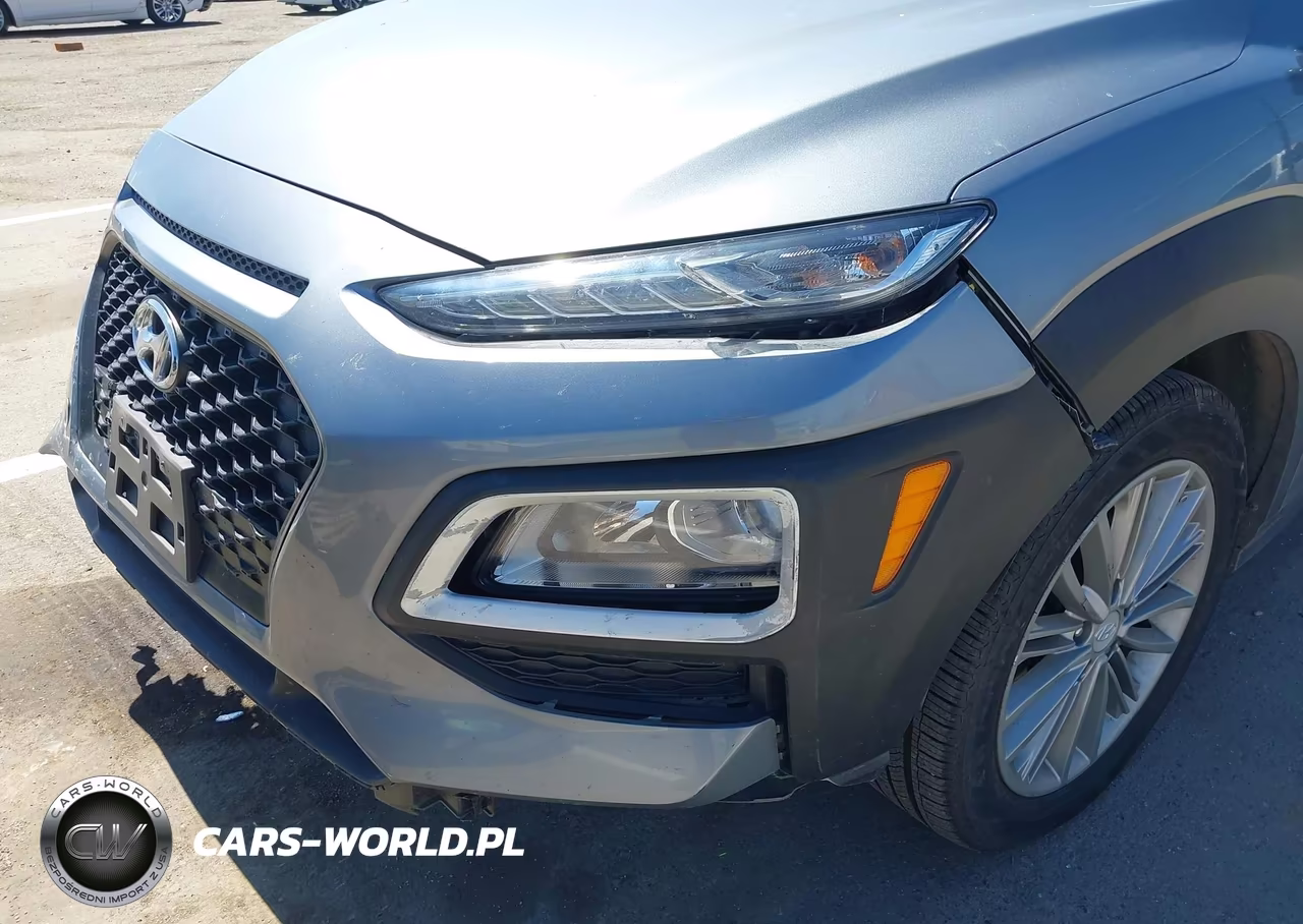 2019 Hyundai Kona Sel VIN:KM8K22AA5KU397024 - 18