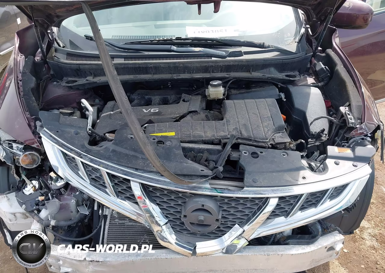 2014 Nissan Murano Le VIN:JN8AZ1MW4EW509676 - 10