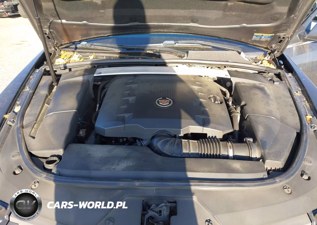 2009 Cadillac Cts Standard VIN:1G6DU57V790168416 - 10