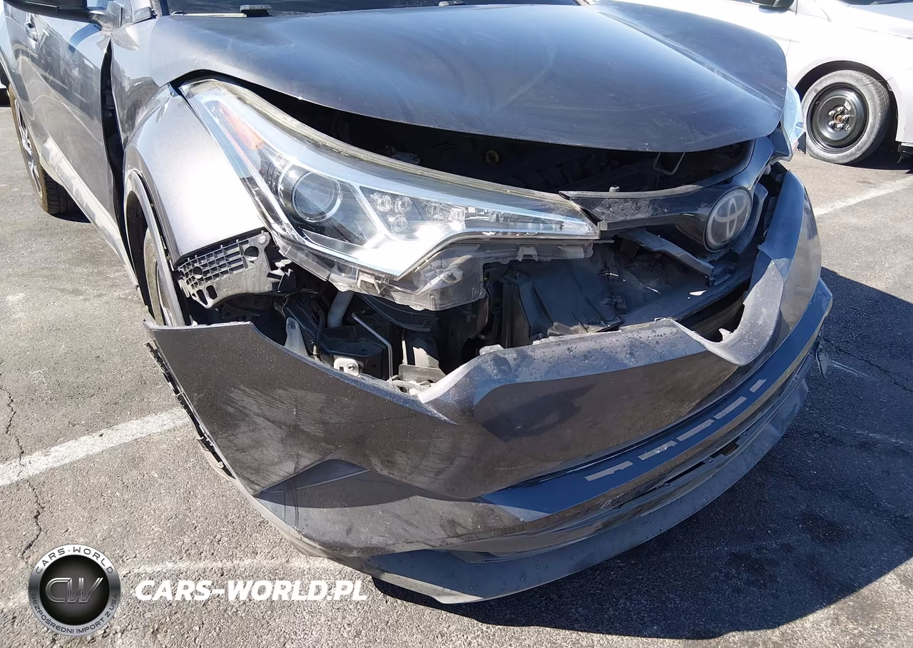 2019 Toyota C-Hr Limited VIN:JTNKHMBX1K1019023 - 17
