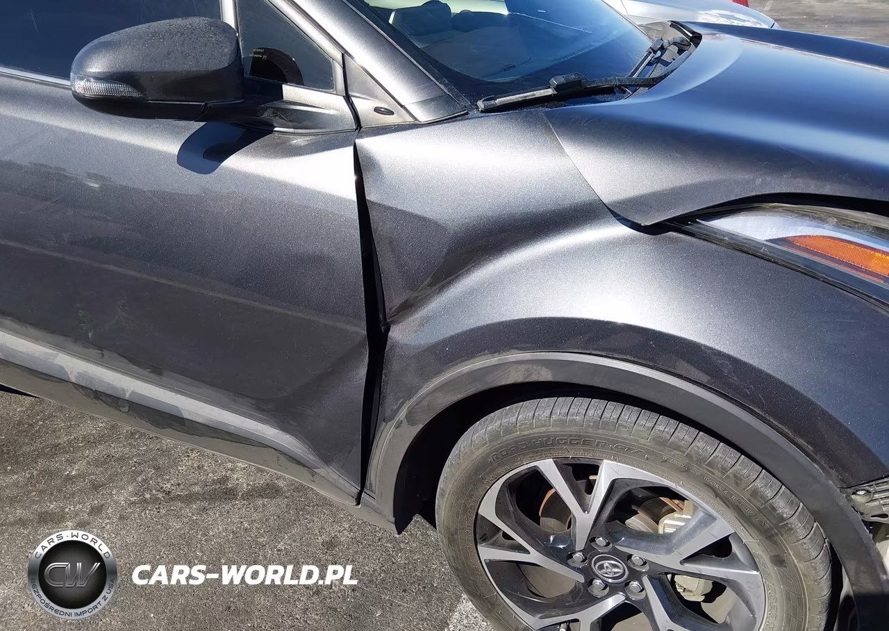 2019 Toyota C-Hr Limited VIN:JTNKHMBX1K1019023 - 18