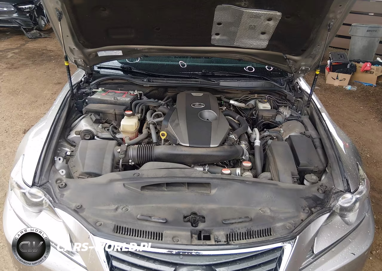2016 Lexus Is 200T VIN:JTHBA1D28G5016675 - 10