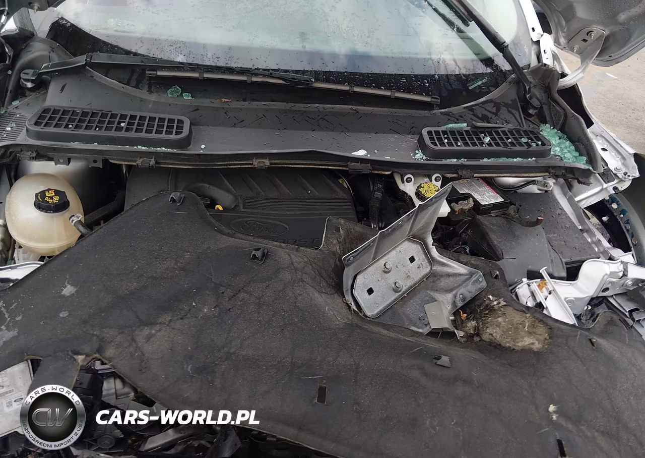 2019 Ford Escape Se VIN:1FMCU9GD5KUB30491 - 10