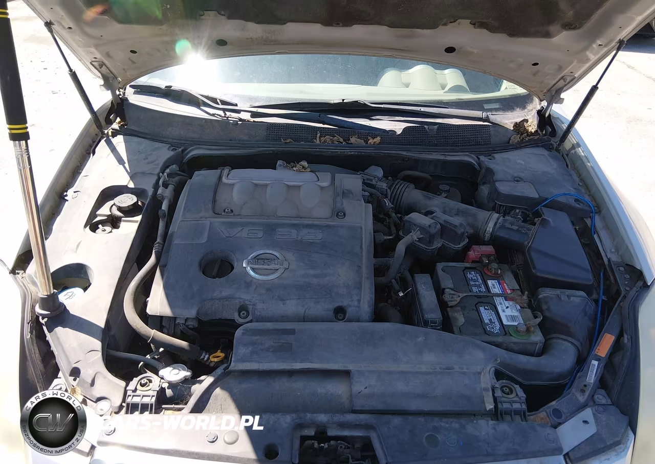 2004 Nissan Maxima 3.5 Sl VIN:1N4BA41E04C832472 - 10