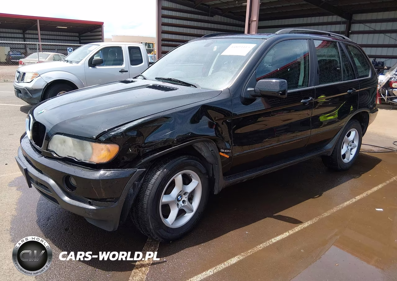 2002 BMW X5 3.0I VIN:5UXFA53512LP57257 - 2