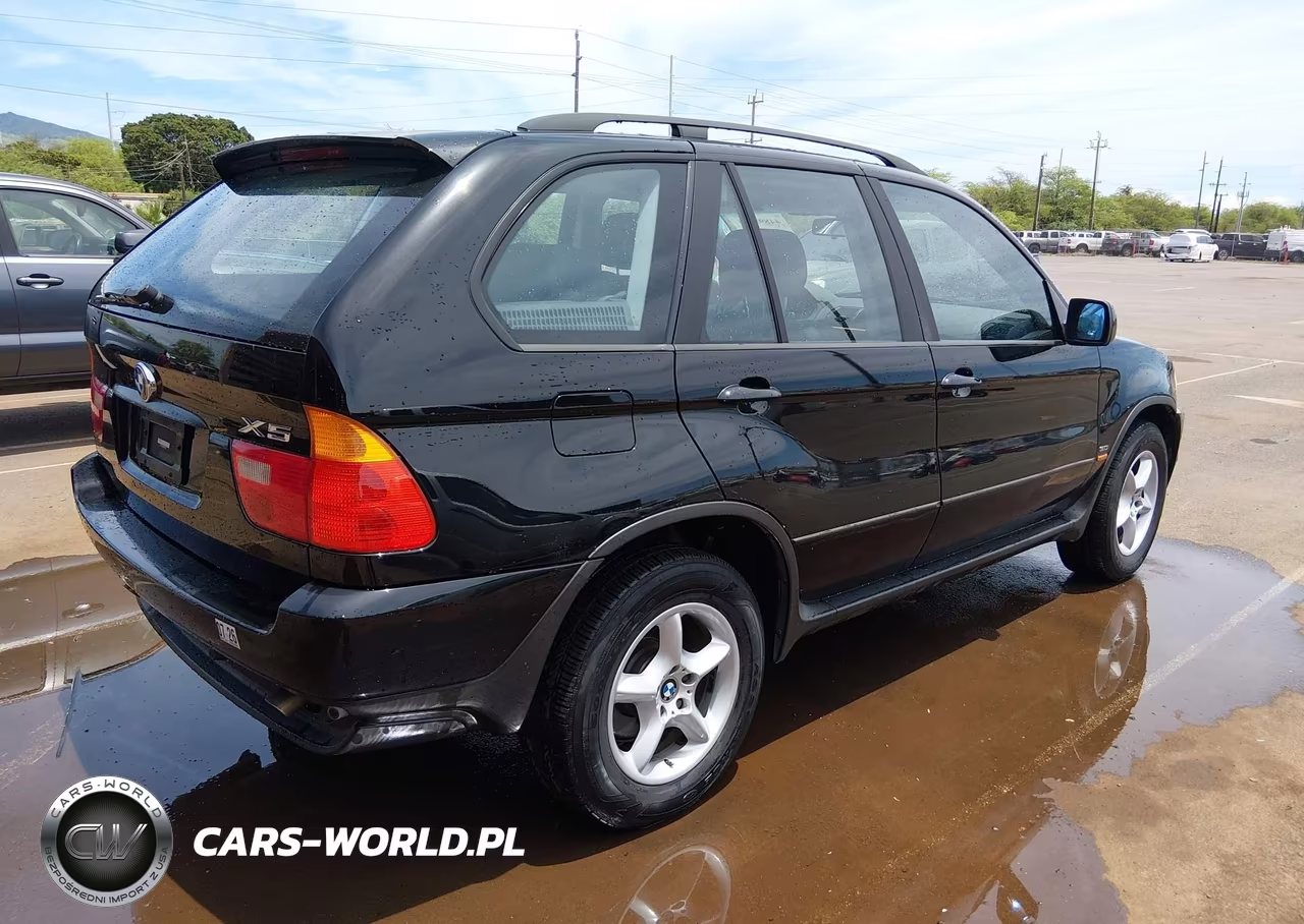 2002 BMW X5 3.0I VIN:5UXFA53512LP57257 - 4