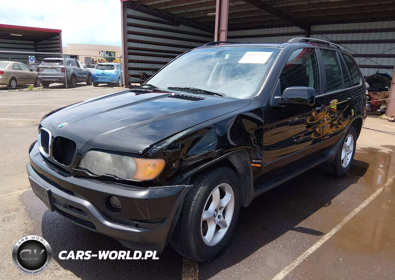 2002 BMW X5 3.0I VIN:5UXFA53512LP57257 - 6
