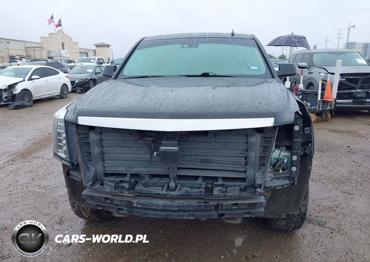 2015 Cadillac Escalade Premium VIN:1GYS4CKJ3FR305558 - 13