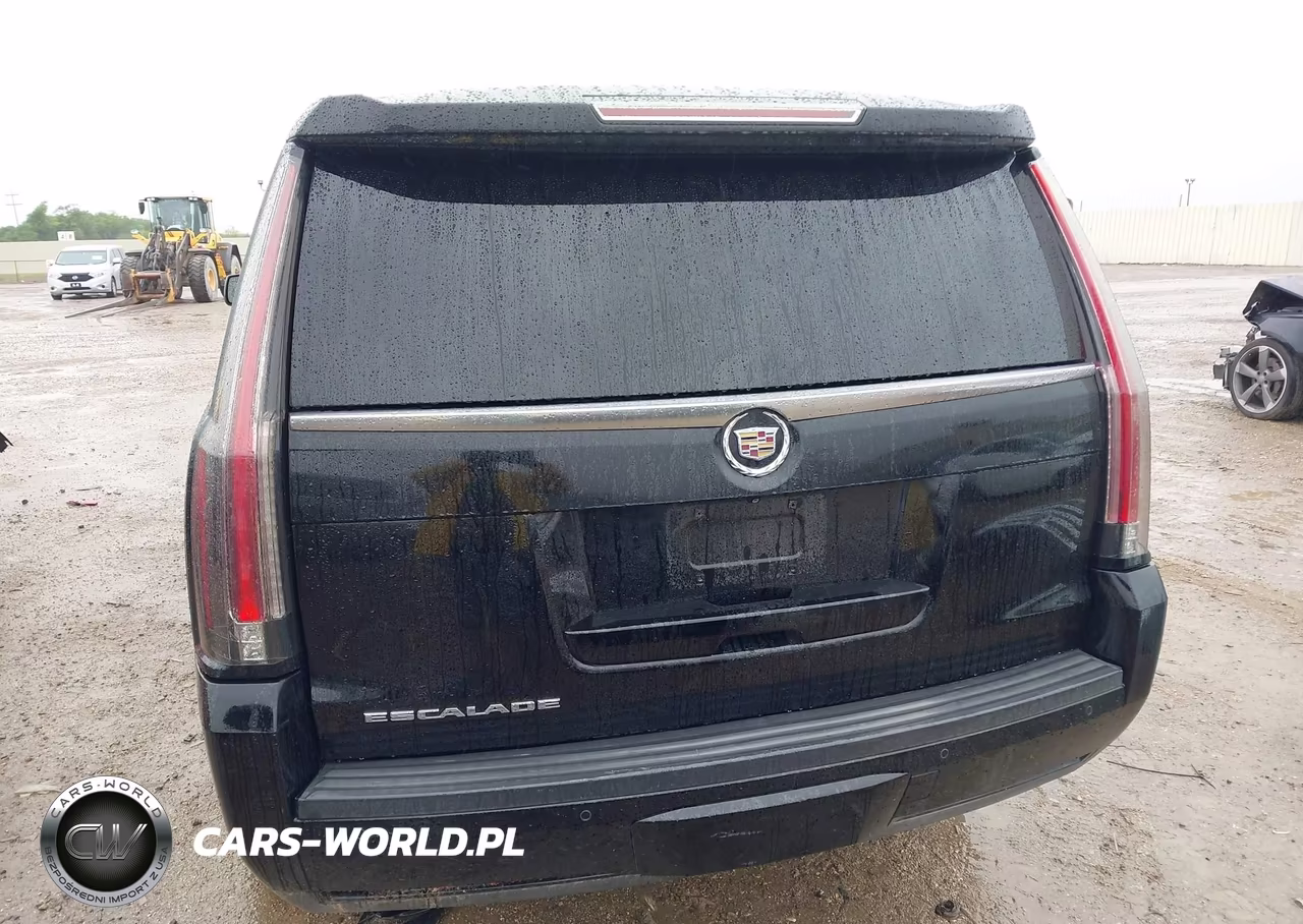 2015 Cadillac Escalade Premium VIN:1GYS4CKJ3FR305558 - 17