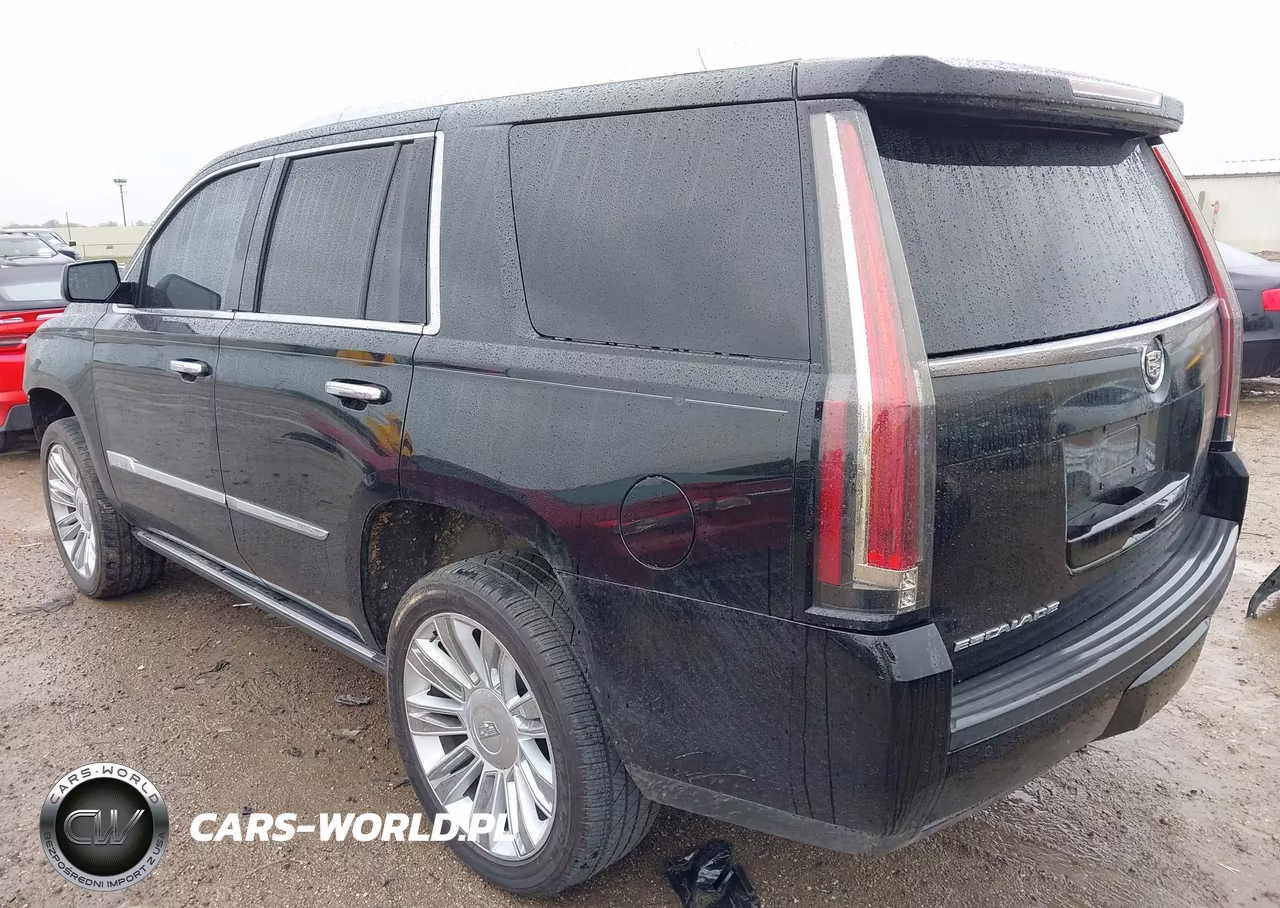 2015 Cadillac Escalade Premium VIN:1GYS4CKJ3FR305558 - 3