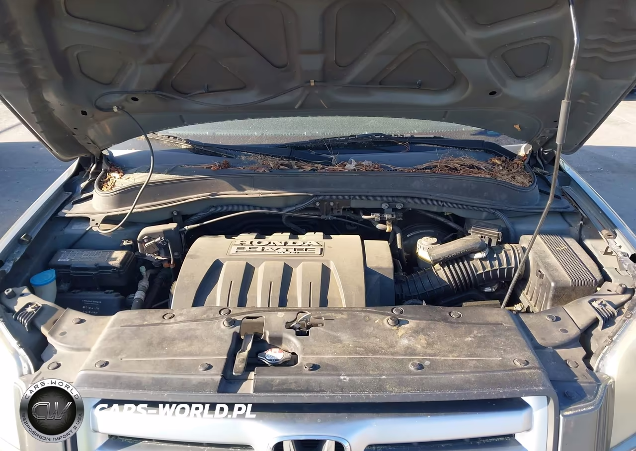 2007 Honda Pilot Ex VIN:5FNYF28447B031994 - 10