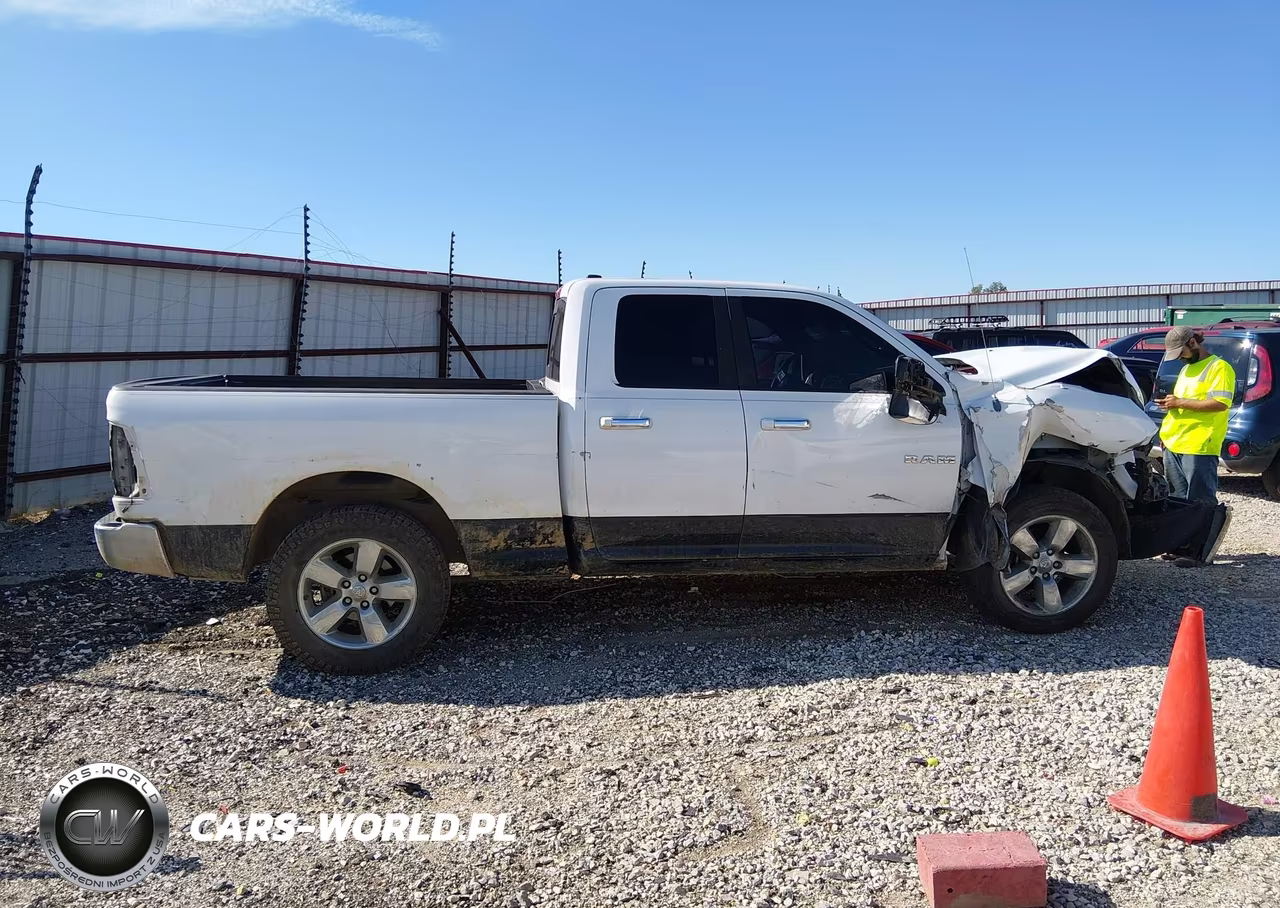 2010 Dodge Ram 1500 Slt-Sport-Trx VIN:1D7RB1GP8AS138455 - 12