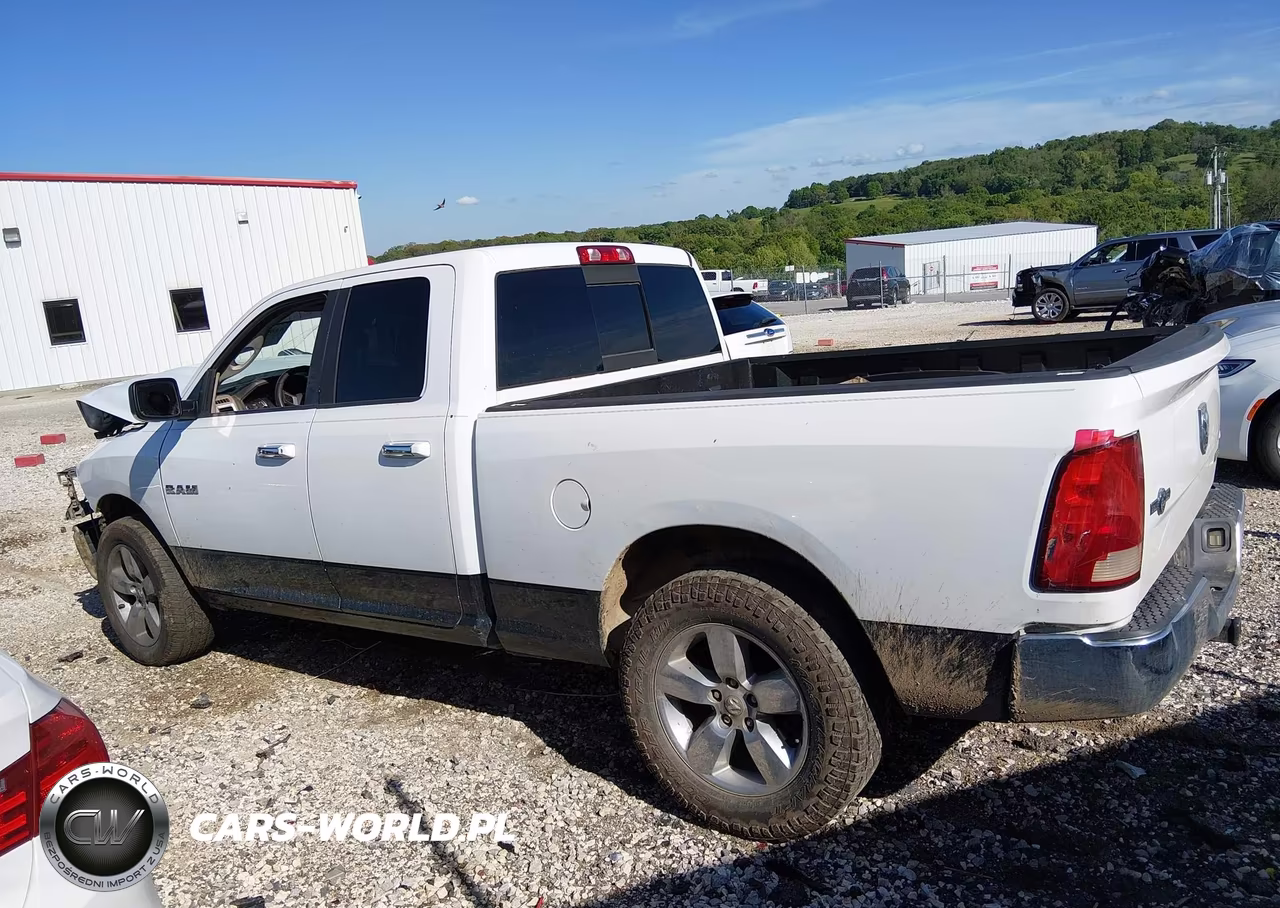 2010 Dodge Ram 1500 Slt-Sport-Trx VIN:1D7RB1GP8AS138455 - 13