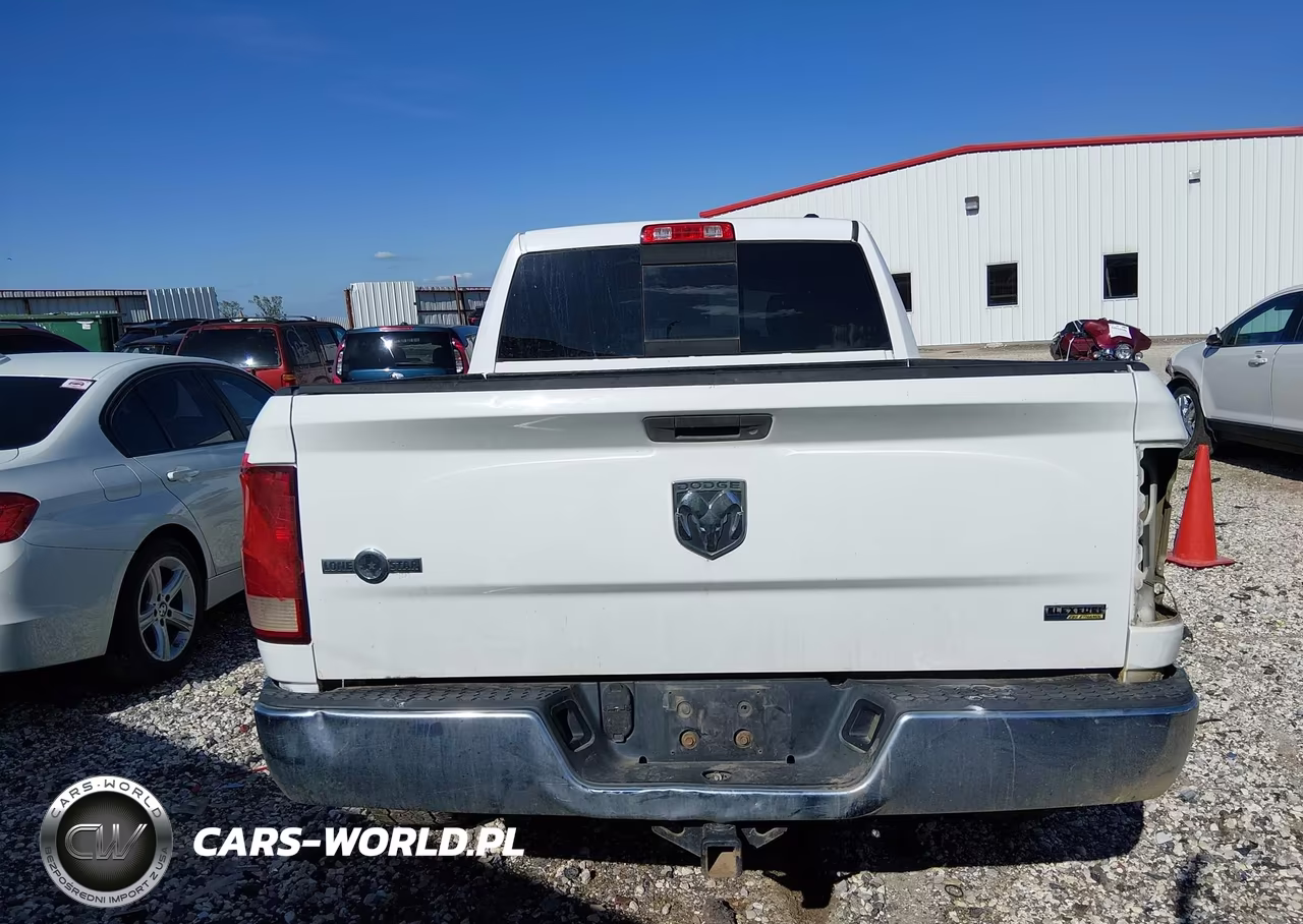 2010 Dodge Ram 1500 Slt-Sport-Trx VIN:1D7RB1GP8AS138455 - 15