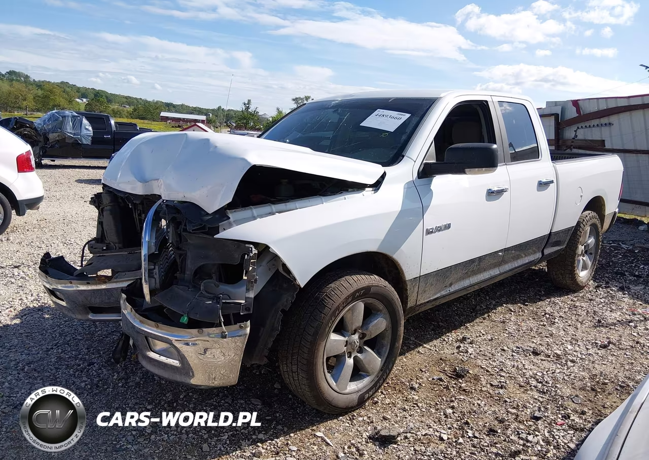2010 Dodge Ram 1500 Slt-Sport-Trx VIN:1D7RB1GP8AS138455 - 2