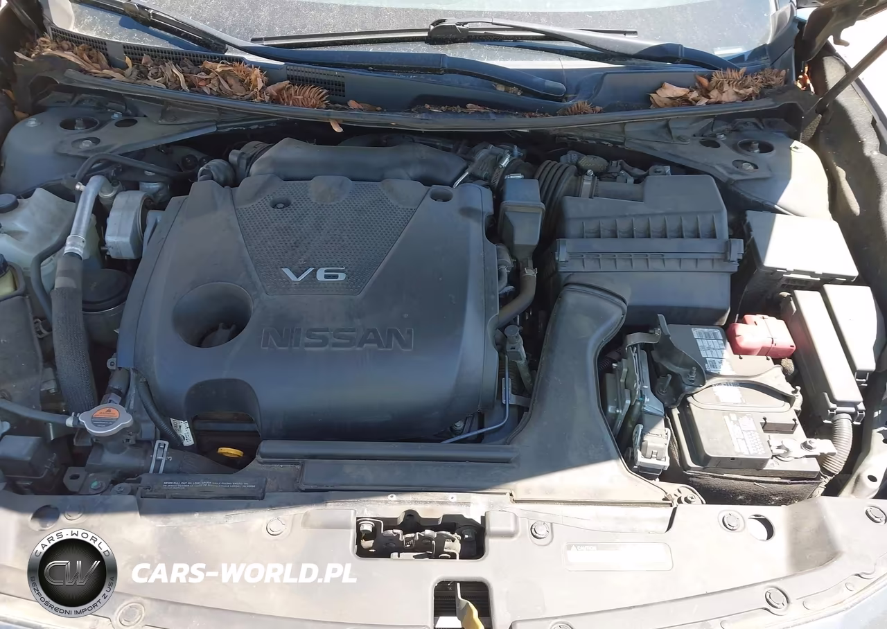 2020 Nissan Maxima Sv Xtronic Cvt VIN:1N4AA6CV1LC363699 - 10