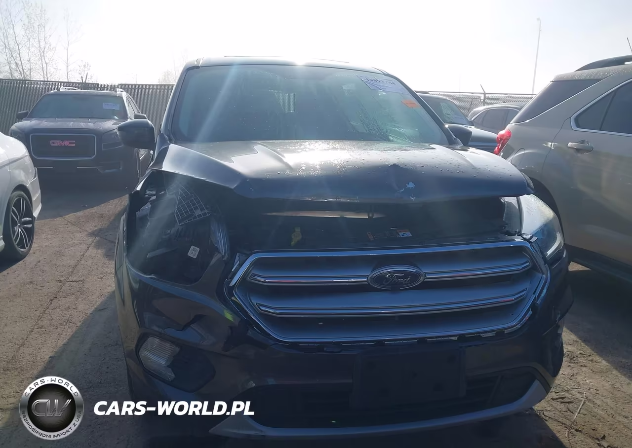 2017 Ford Escape Se VIN:1FMCU9G99HUB71212 - 12