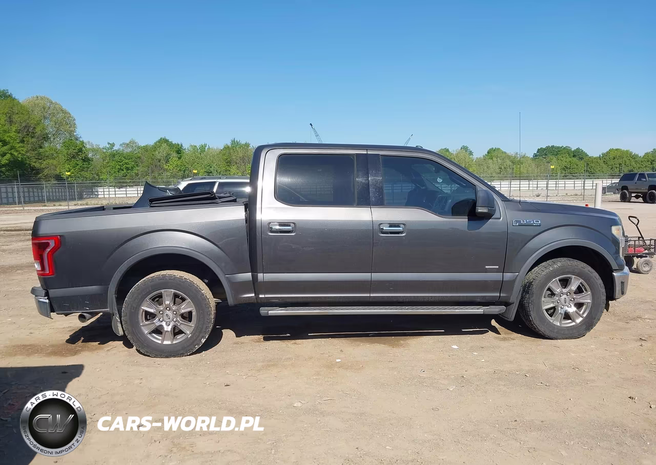 2016 Ford F-150 Xlt VIN:1FTEW1CPXGFA09380 - 13