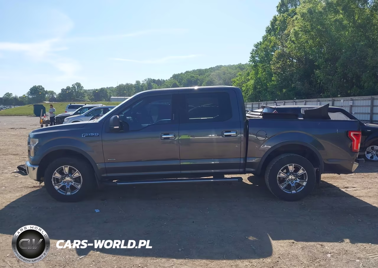 2016 Ford F-150 Xlt VIN:1FTEW1CPXGFA09380 - 14