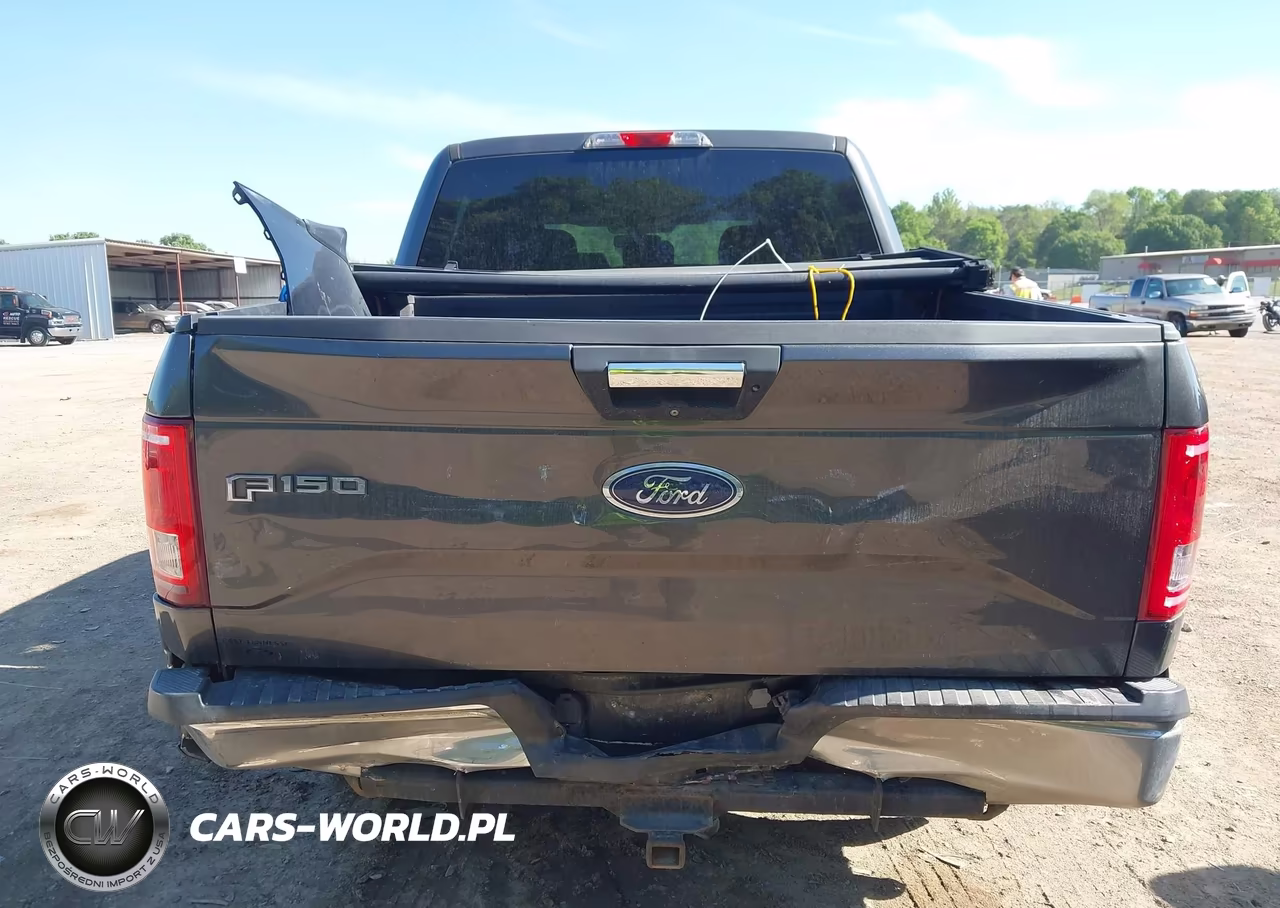 2016 Ford F-150 Xlt VIN:1FTEW1CPXGFA09380 - 16