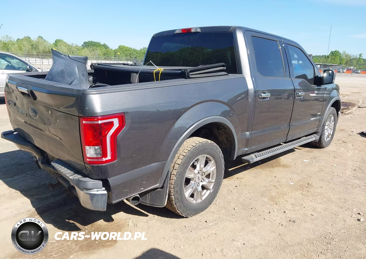 2016 Ford F-150 Xlt VIN:1FTEW1CPXGFA09380 - 4