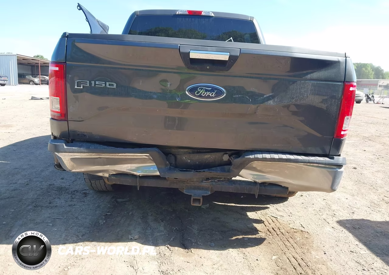 2016 Ford F-150 Xlt VIN:1FTEW1CPXGFA09380 - 6