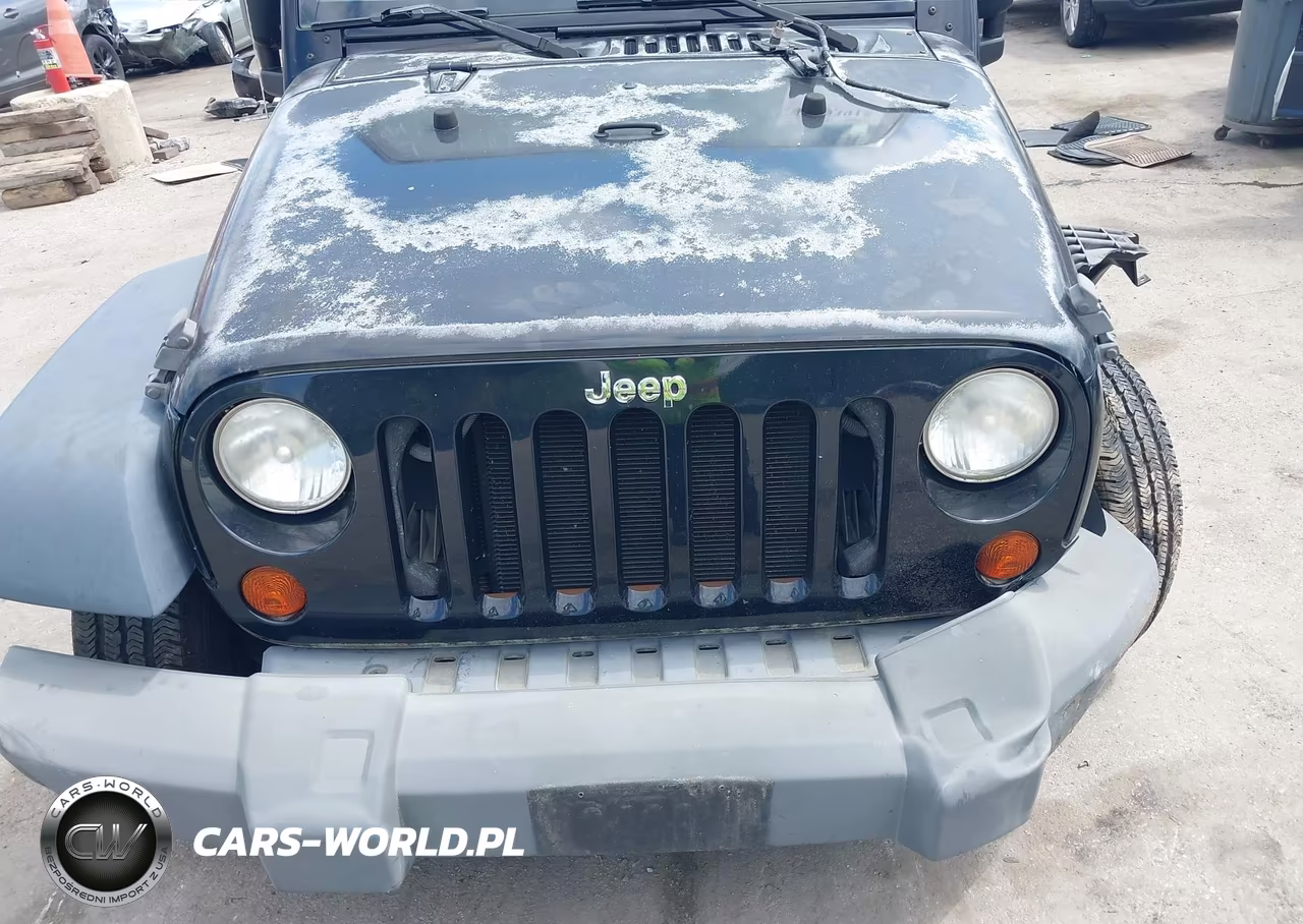 2009 Jeep Wrangler X VIN:1J4FA24159L759867 - 6