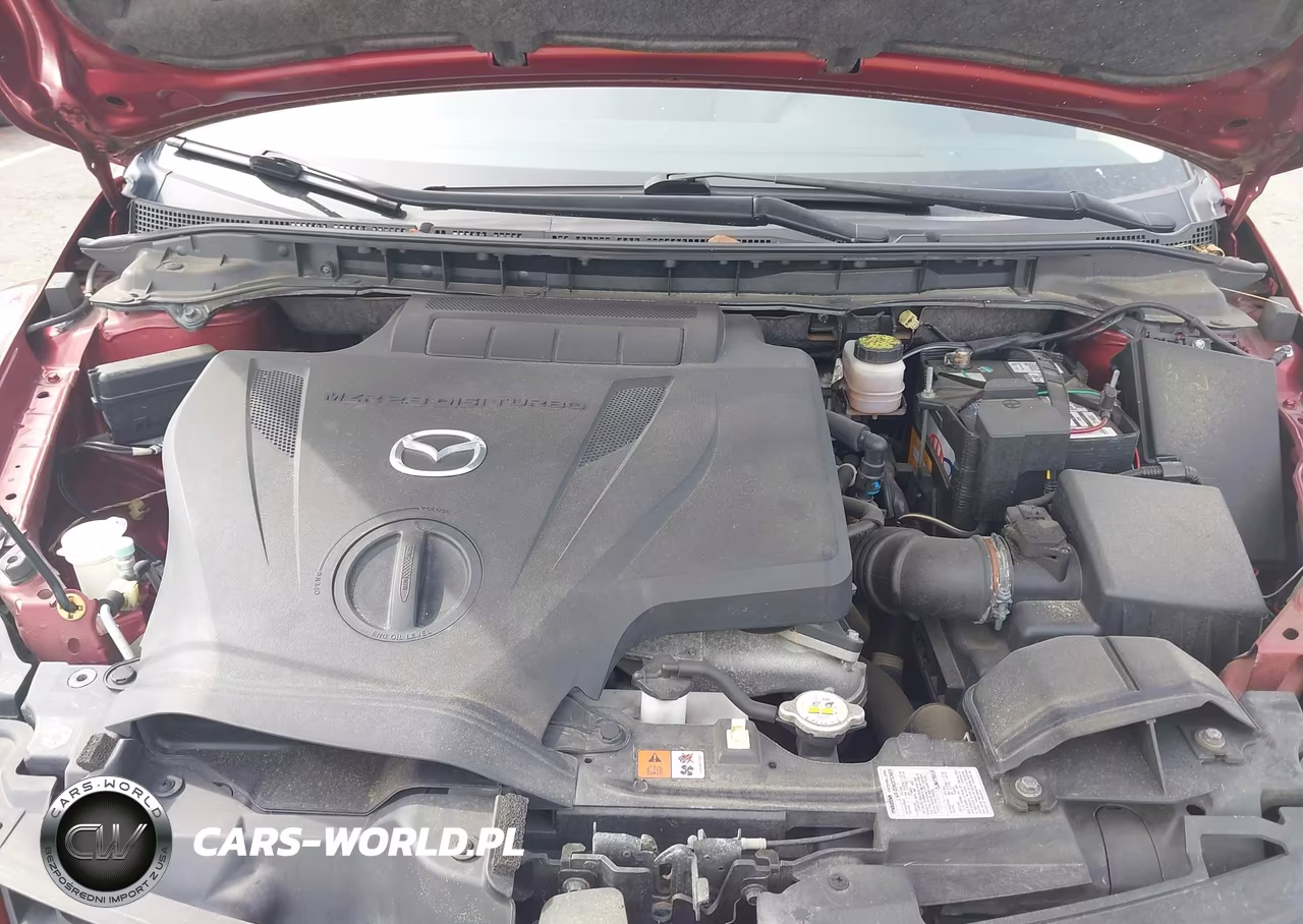 2009 Mazda Cx-7 Sport VIN:JM3ER29L190224080 - 10