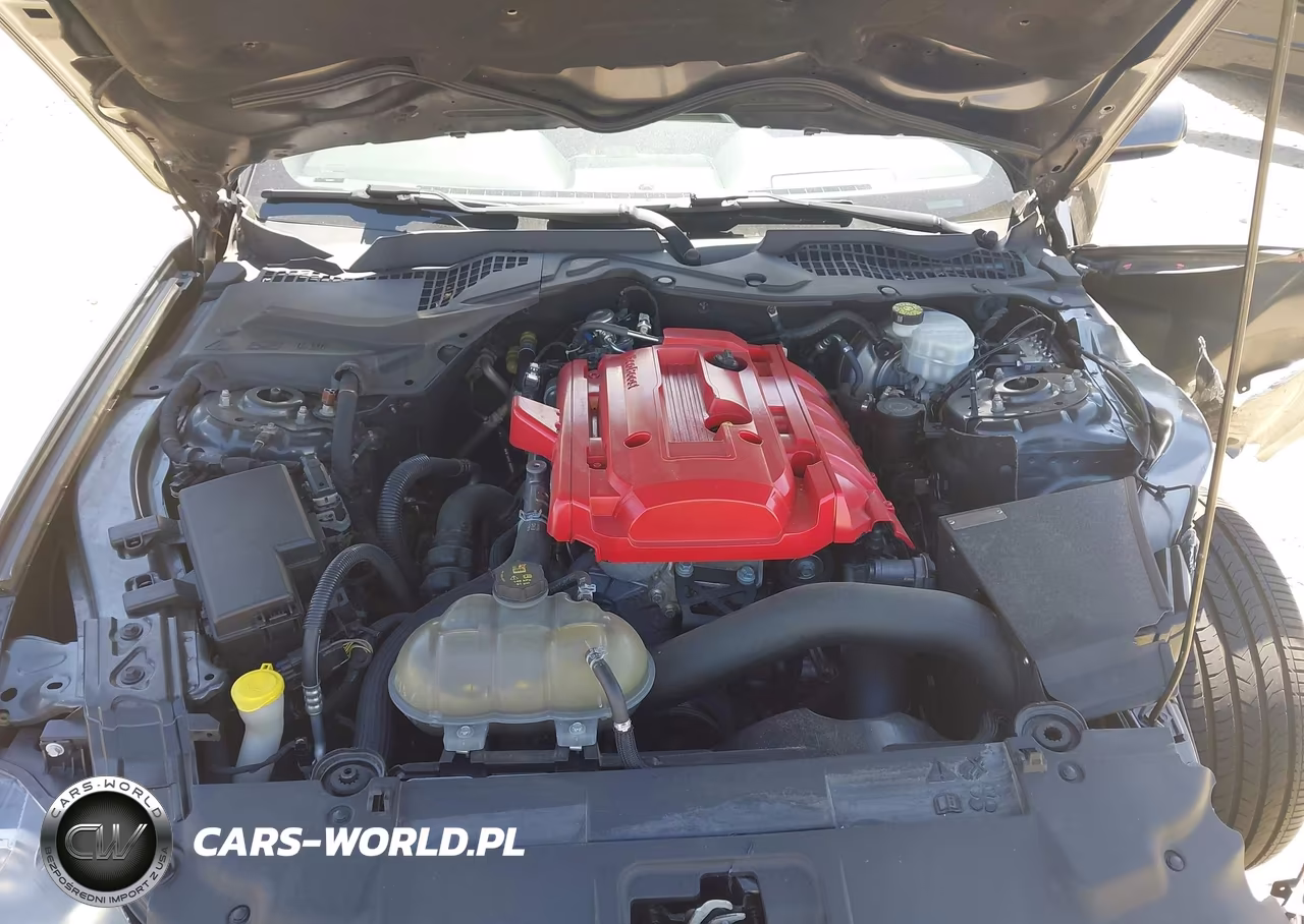 2019 Ford Mustang Ecoboost VIN:1FA6P8TH3K5120375 - 10