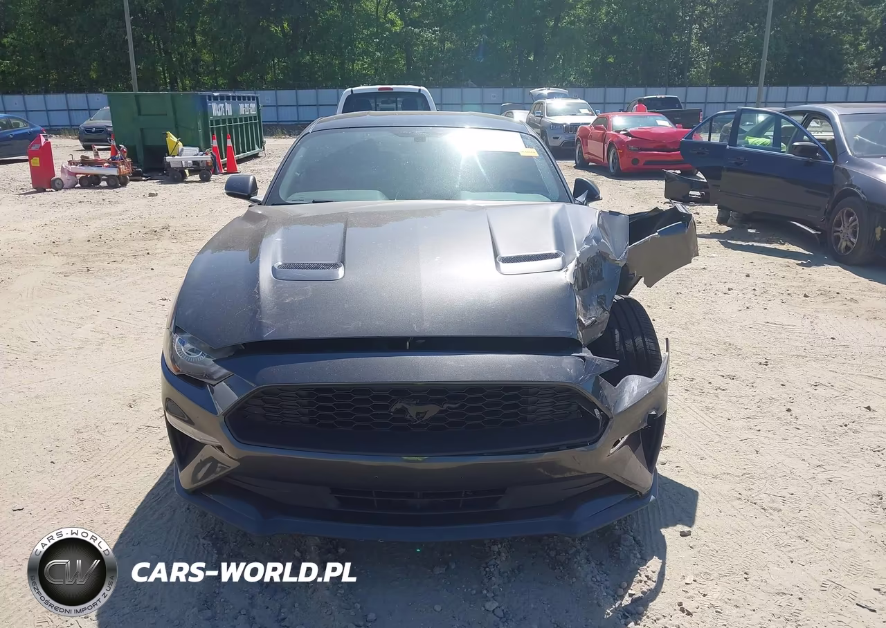 2019 Ford Mustang Ecoboost VIN:1FA6P8TH3K5120375 - 12
